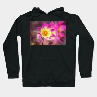 Sweet as Candy Hoodie